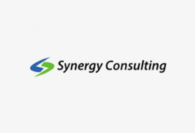 Synergy Consulting