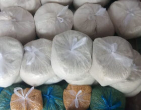 Food Distribution