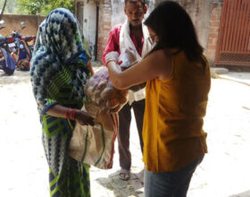 Food Distribution